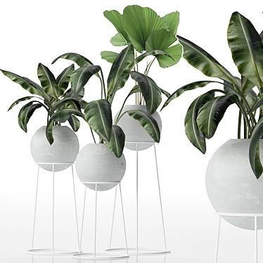 Exquisite Greenery Ensemble 3D model image 1 