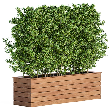 Wood Bamboo Outdoor Planter Box 3D model image 1 