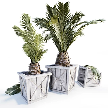 Modern Palm Planters: Stylish and Versatile 3D model image 1 