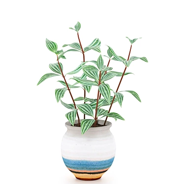 Houseplant Laurel