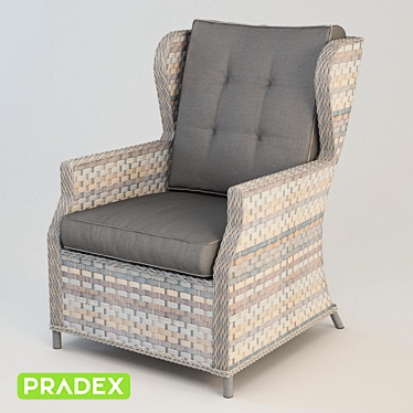 Pradex Gloria Rattan Chair: Stylish and Comfortable 3D model image 1 