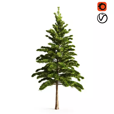 Realistic Pine Tree - Lifelike Décor 3D model image 1 