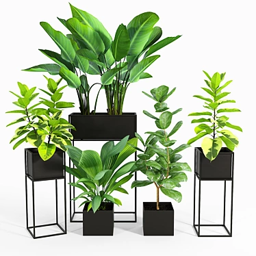 Modern Trio Black Planters: Enhance Your Space 3D model image 1 