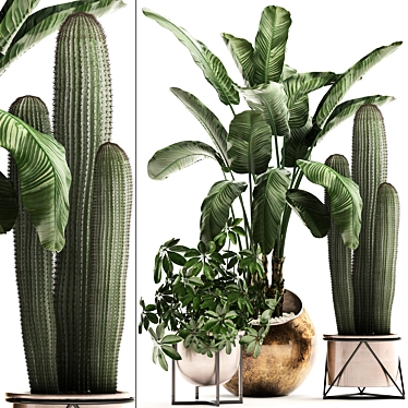 Exotic Houseplant Collection 3D model image 1 