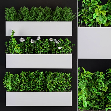 Botanical Wall Decor Set 3D model image 1 