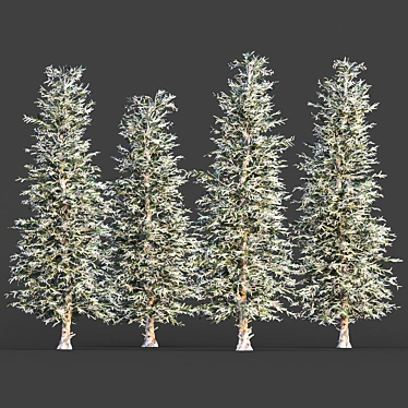 Cozy Blue Spruce Winter Tree 3D model image 1 