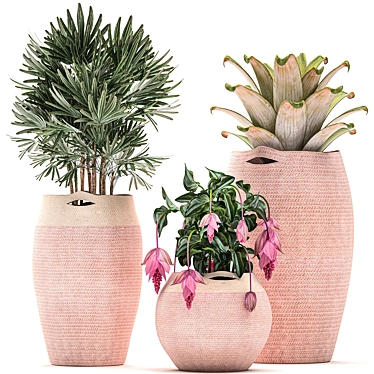 Exotic Plant Collection in Pink Baskets 3D model image 1 