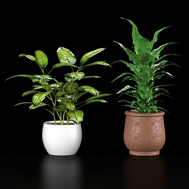 Indoor Plant Collection Set 3D model image 1 