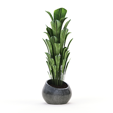 Green Oasis: Indoor Plant Collection 3D model image 1 