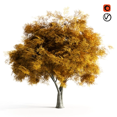Autumn Bliss Elm Tree 3D model image 1 