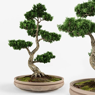 Artistic Bonsai: Exquisite Decorative Tree 3D model image 1 