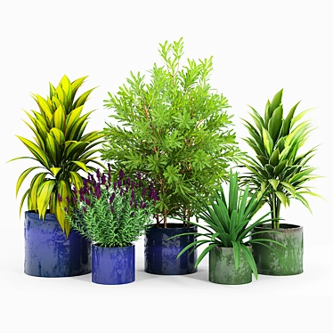 Maya Blue & Green Ceramic Planters 3D model image 1 