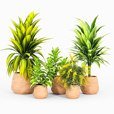 Minimalist Tula Planter Set 3D model image 1 