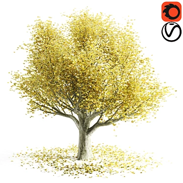 Golden Autumn Beech 3D model image 1 