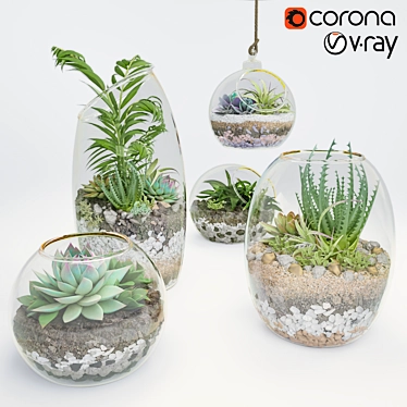 Botanical Bliss: 5 Glass Ball Terrarium Set 3D model image 1 