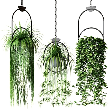 Hanging Plants Decor Set 3D model image 1 