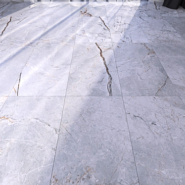 Gray Marble Floor: Multi-Texture, High-Definition 3D model image 1 