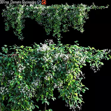 Gorgeous Creeper Plant Model 3D model image 1 