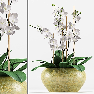 Exquisite Orchid Flower Pot 3D model image 1 