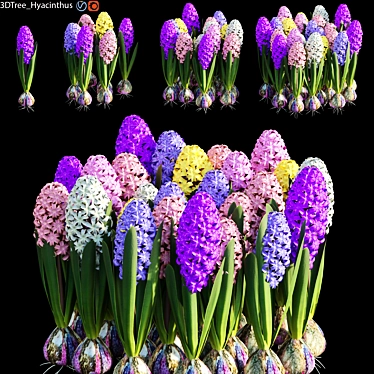Elegant Hyacinthus Model with High Polys 3D model image 1 