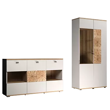 Fiji Showcase: Elegant Storage Solution 3D model image 1 