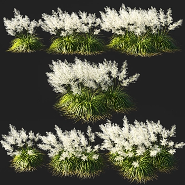Elegant White Muhly Grass 3D model image 1 