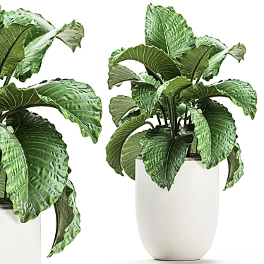 Exotic Indoor Plant Collection with White Pots 3D model image 1 