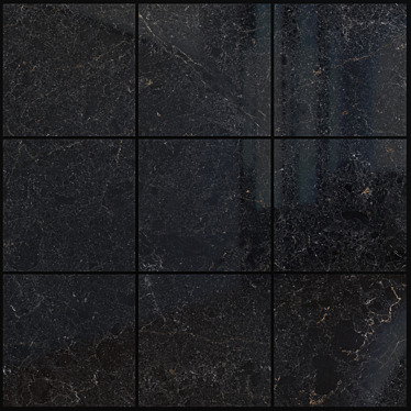 Cosmic Black Marble Set │ High-Quality Multi-Texture Tiles 3D model image 1 
