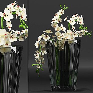 Elegant Orchid Bouquet 3D model image 1 