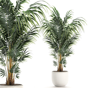 Tropical Palm: Exotic Indoor Plant Collection 3D model image 1 
