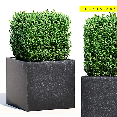 Lush Bush Plants for 3D Modeling 3D model image 1 