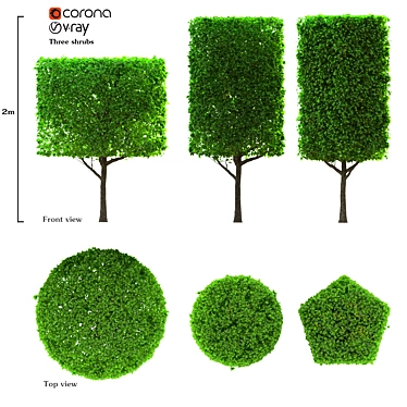 Versatile Trio: 3 Stylish Shrubs 3D model image 1 