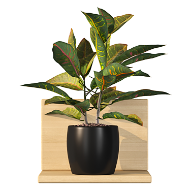 Tropical Delight Croton Plant 3D model image 1 