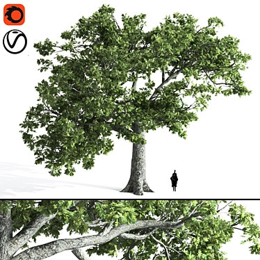  Majestic Oak Tree Sculpture 3D model image 1 