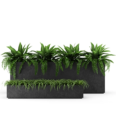 Indoor Outdoor Plant Collection 3D model image 1 