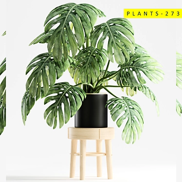 273 Plants Collection: 3ds Max & OBJ 3D model image 1 