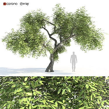 Greenery Bliss: 3D Tree Model 3D model image 1 