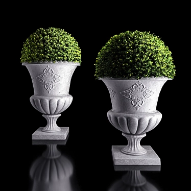 Concrete Urn Boxwood Planter 3D model image 1 