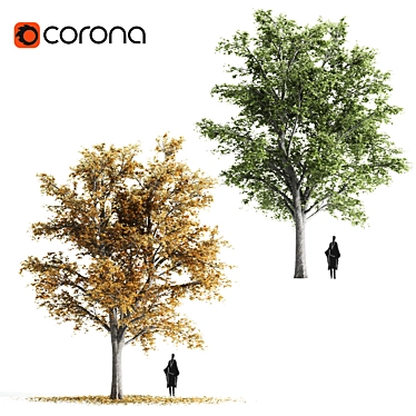 Lovely Tilia Tree Duo 3D model image 1 