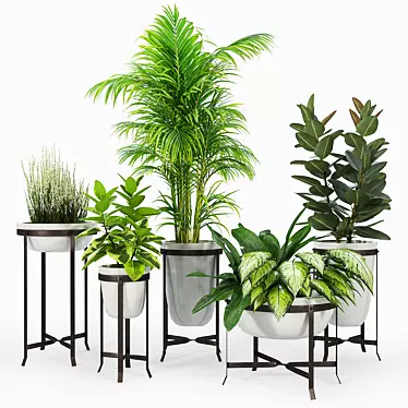 Amir Poly Planter Set 3D model image 1 