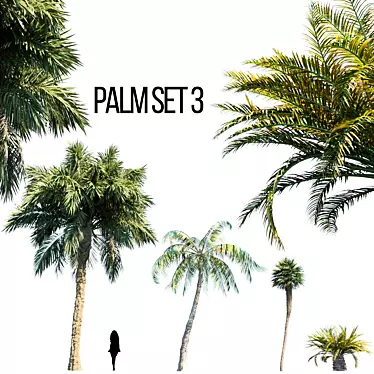 Palm Trio: Versatile Outdoor Set 3D model image 1 