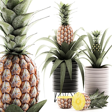 Tropical Pineapple Plant Collection 3D model image 1 