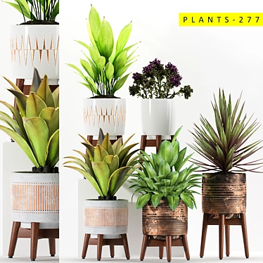 277 Plant Collection: Realistic 3D Models 3D model image 1 