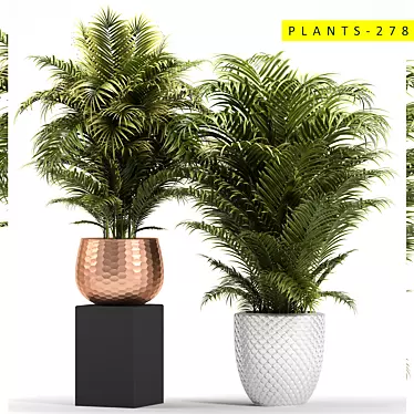 plants 278