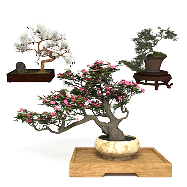 Elegant Bonsai Set for Stunning Decor 3D model image 1 