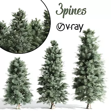 Tall Pine Trio: 8.7m, 7.4m & 5.6m 3D model image 1 