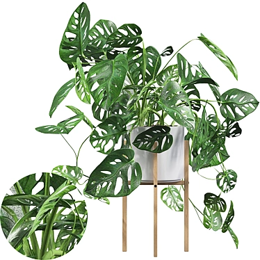 Tropical Monstera Monkey Mask: Stunning 3D Plant 3D model image 1 