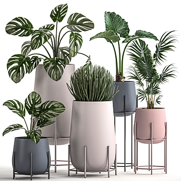 Tropical Plant Set: Palms, Monstera & More 3D model image 1 