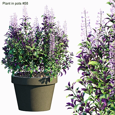 Mona Lavender: Versatile Pot Plant 3D model image 1 