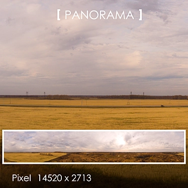 Field 11 Panorama: Perfect Background in Any Lighting 3D model image 1 